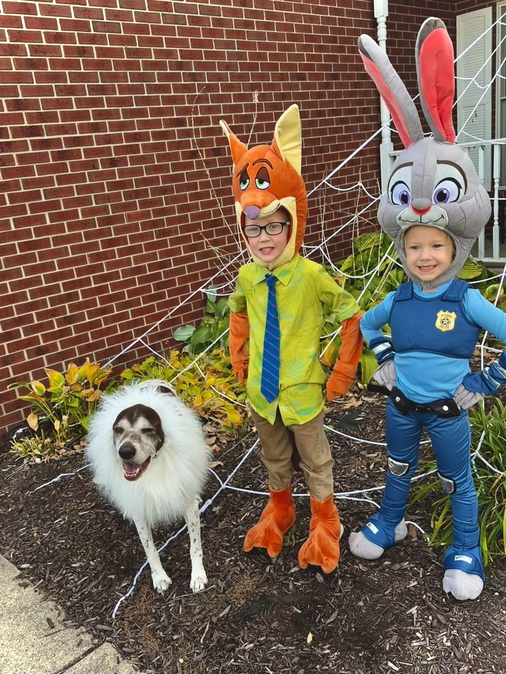 Disney Zootopia Nick Wilde (Small) & Judy Hopps (XS) Halloween costumes